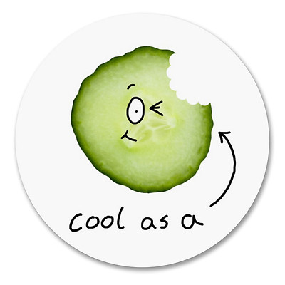 2 x 10 cm Cool wie eine Gurke Vinyl Aufkleber Sticker Laptop Auto lustig Witz Kinder #6210