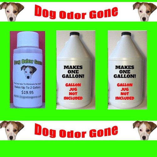 Dog Odor Gone - Industrial Strength Pet Odor Remover 1oz Makes 2 Gallons
