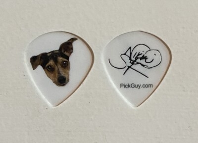 Nikki Stringfield Signature guitar pick the Iron Maidens Heaven Below Schecter