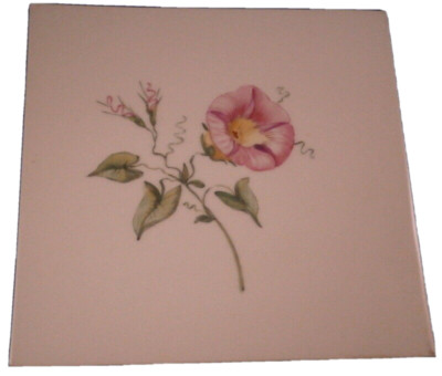 KPM Berlin Porcelain Floral Tile / Trivet / Plaque Porzellan Kachel / Bild #1