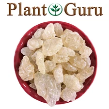 White Copal Resin Incense 100% Pure Natural Gum Dammar Rock Granular 