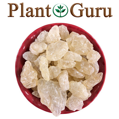 White Copal Resin Incense 100% Pure Natural Gum Dammar Rock Granular 
