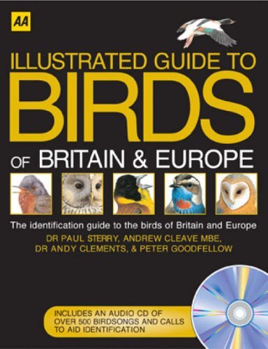 Collins Bto Guide To British Birds - Paul Sterry | Cuotas Sin Interés - Foto 6