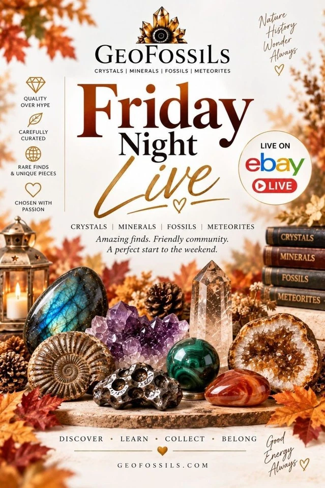 Friday Night Live | Crystals, Minerals, Fossils & Meteorites