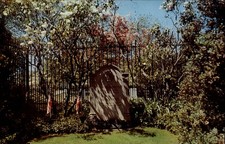 President Theodore Roosevelt grave Oyster Bay Long Island NY ~ 1950s postcard