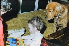 Golden Retriever Watches Boy w/Train Wooden Frame Tray Puzzle: 1970's 35mm Slide