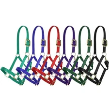 Showman Deluxe Nylon Halter w/ Throat Clip