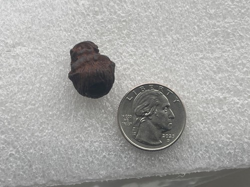 Starlingear Iron Primate Bead (FE) Extremely Rare For Strider Emerson Knives - Picture 5 of 7
