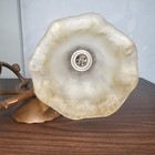 Picture 16 of 24