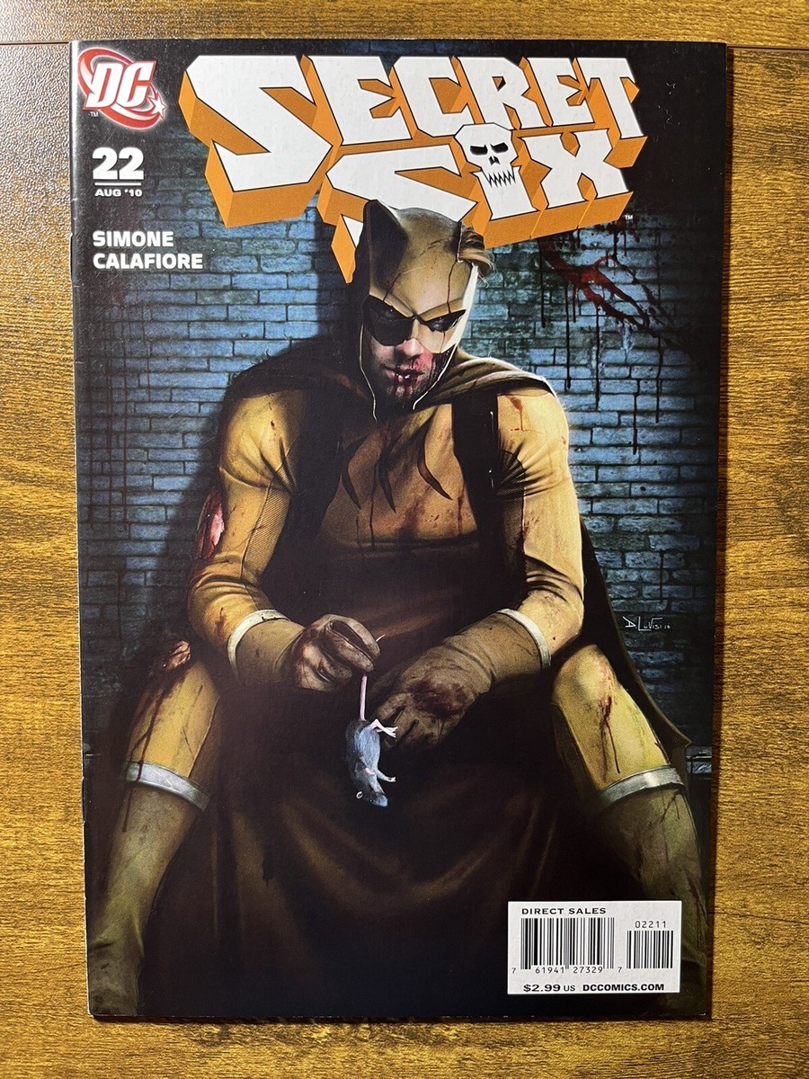 SECRET SIX 22 CATMAN DANIEL LUVISI COVER GAIL SIMONE STORY DC