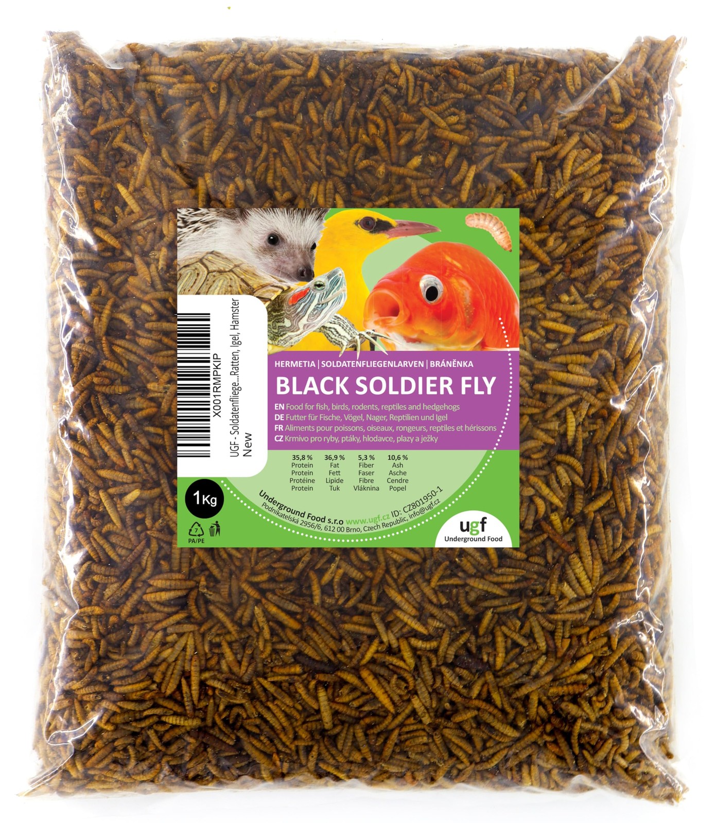 Larves de mouches soldats Hermetia UGF pour stopper les coquilles d'œufs molles chez les poules