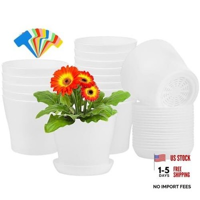 Pack of 16 White Plastic Planters with Multiple Drainage Holes & Trays - 4 Inch