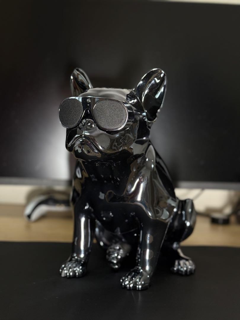 AeroBull XS1 スピーカー ELECTROPLATING SILVER Aerobull Xs1 Bluetooth Speaker Electroplated Silver Portable
