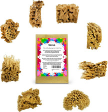 Artist Natural Sea Sponges for Painting 8 Pack Unbleached Unique Art Tool Set
