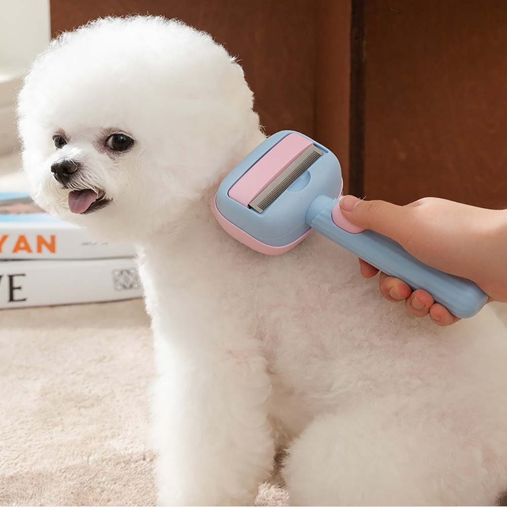 Brosse de toilettage pour animaux de compagnie et outil de perte de poils pour g