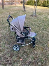Moon Flac Buggy