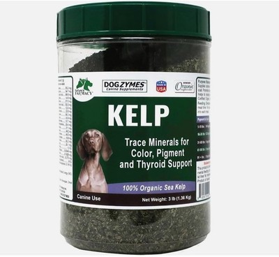 Organic Norwegian Kelp for Pets, a Valuable Nutrition Source Rich in Iodine to S