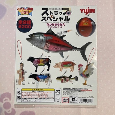 Yujin Gashapon Kinder Enzyklopädie Gurt Spezial Belüftungskarte