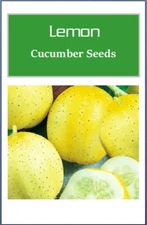 Lemon Cucumber Seeds |  Fresh NON-GMO Cucumber Seeds Heirloom Seeds
