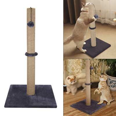 grey cat scratcher