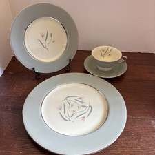 Castleton Flair 4 Piece Place Setting Dinner ...