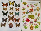 Vintage 1980s Smokey Bear US Forest Service Educational Poster Butterfly Flowers — photo 1