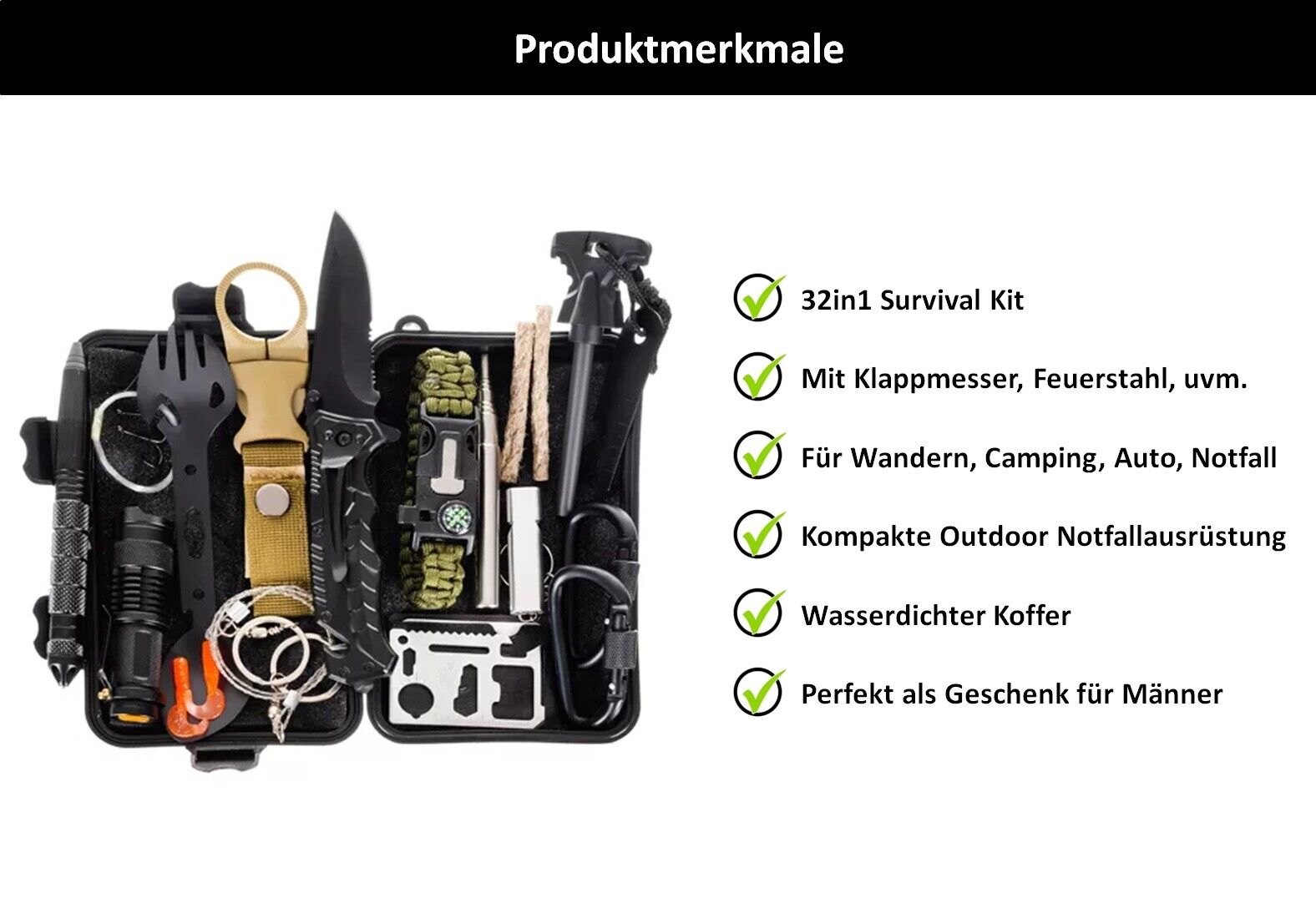 Bild 2 von 12