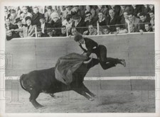 Foto de prensa 1961 novato matador compite en una corrida de toros benéfica en Madrid, España