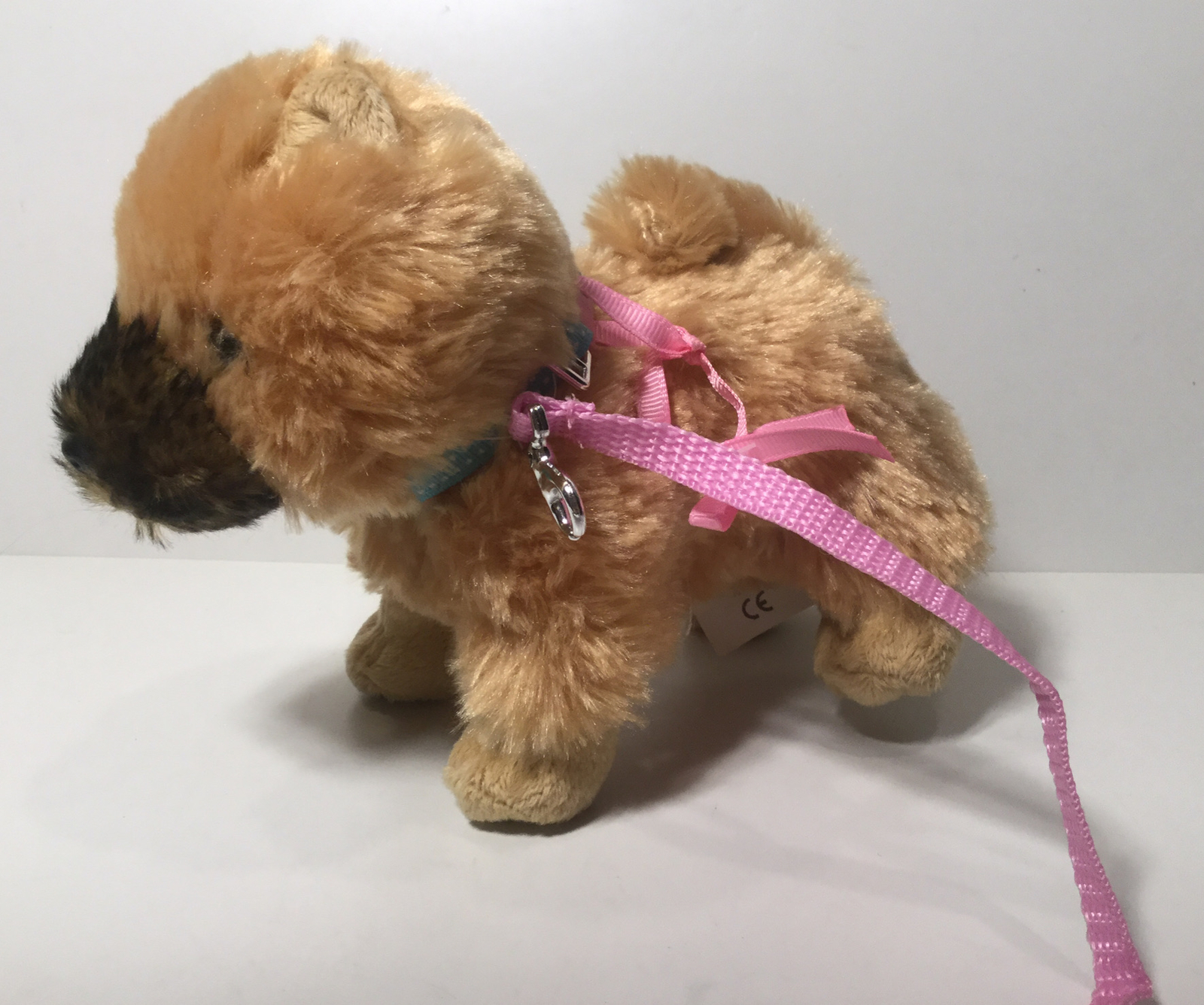 our generation schnauzer