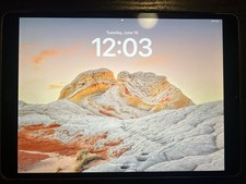 Apple iPad Pro 10.5  64GB Wi-Fi  Cellular Space Gray Unlocked