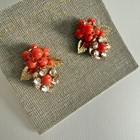 Foto 1 di 9
