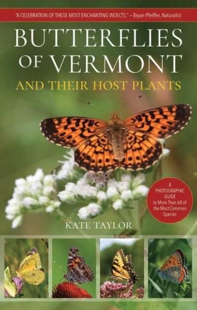 Butterflies of Vermont: And Their Host Plants by Kate - PB - 2025 - Image 5