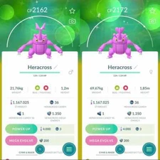 Pokemon Shiny Heracross (M or F) - TRA'DE 20k Or  1 Mill Dust GO - Description