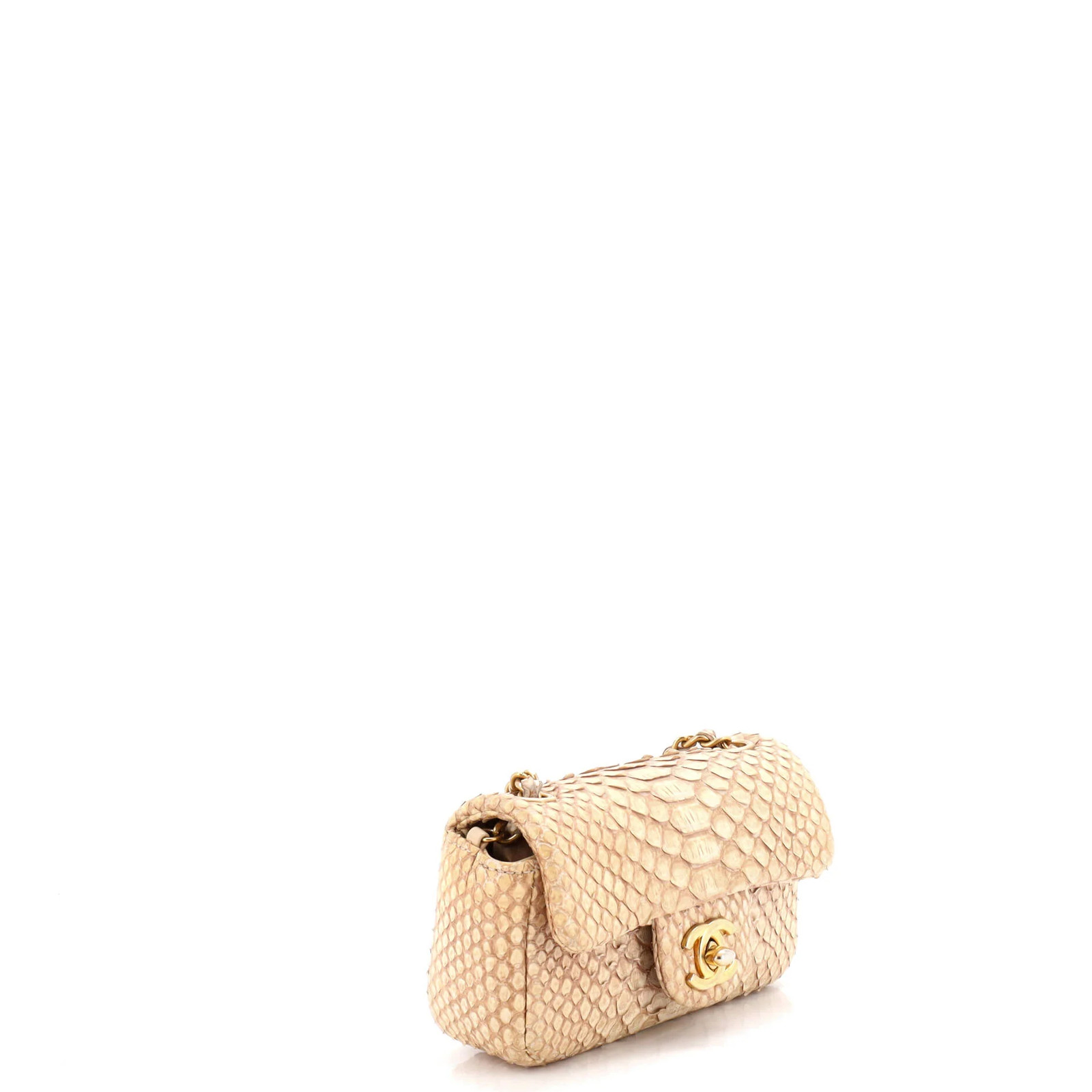 Chanel Classic Single Flap Bag Python Extra Mini - image 2