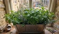 Galvanised Metal Oval Herb Planter New