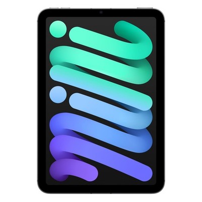 Apple iPad mini (2024) 7. Generation WiFi + Cellular 256GB Space Grau