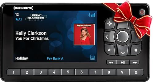 Radio satelitarne SiriusXM SXVRBTAZ1 Roady BT w pojeździe - czarne (otwarta skrzynka) - Zdjęcie 1 z 9