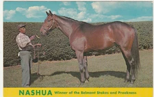 Thoroughbred Race Horse "Nashua"-Lexington-Kentucky-Ky