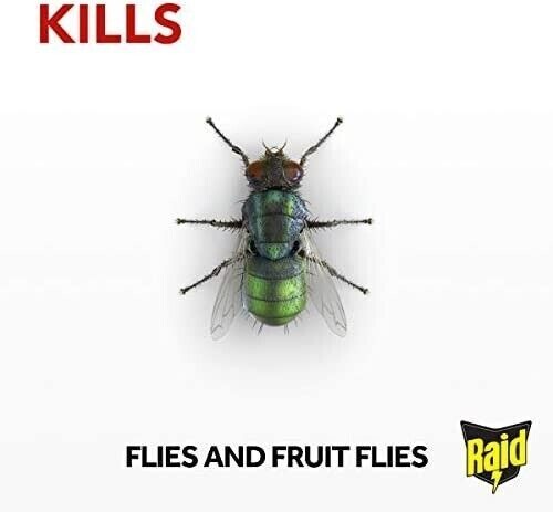 Raid Fly Trap Window Stickers, Fly Killer for Indoor Use, Pack of 1 (4 Stickers) - Picture 2 of 2