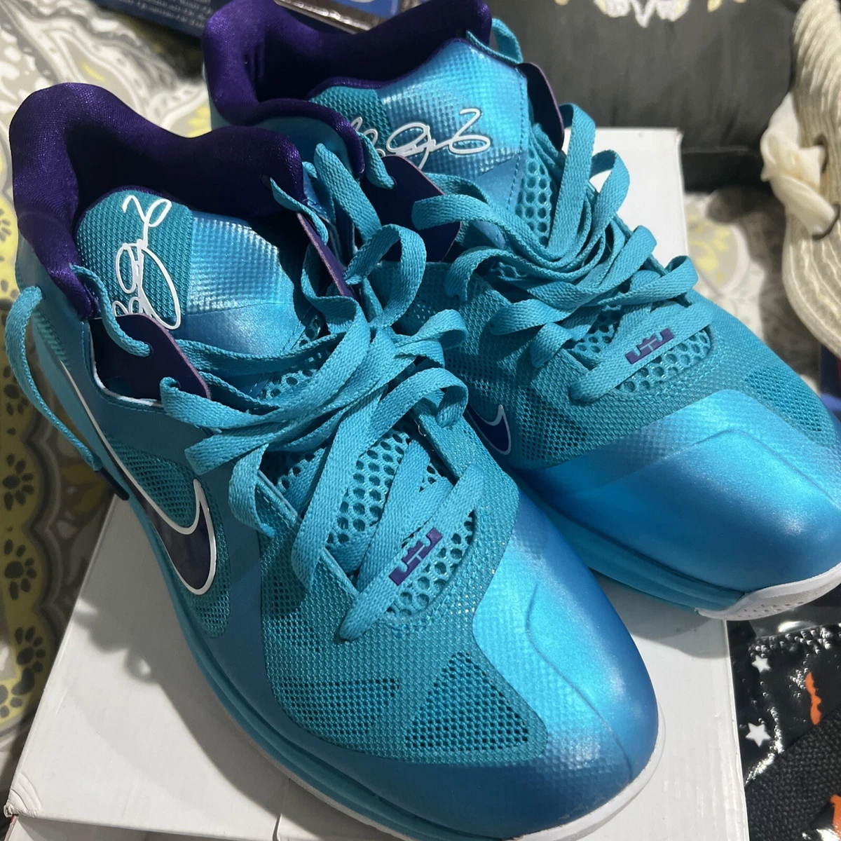 Nike LeBron Soldier 9 Summit Lake Hornets for Sale  display picture 1