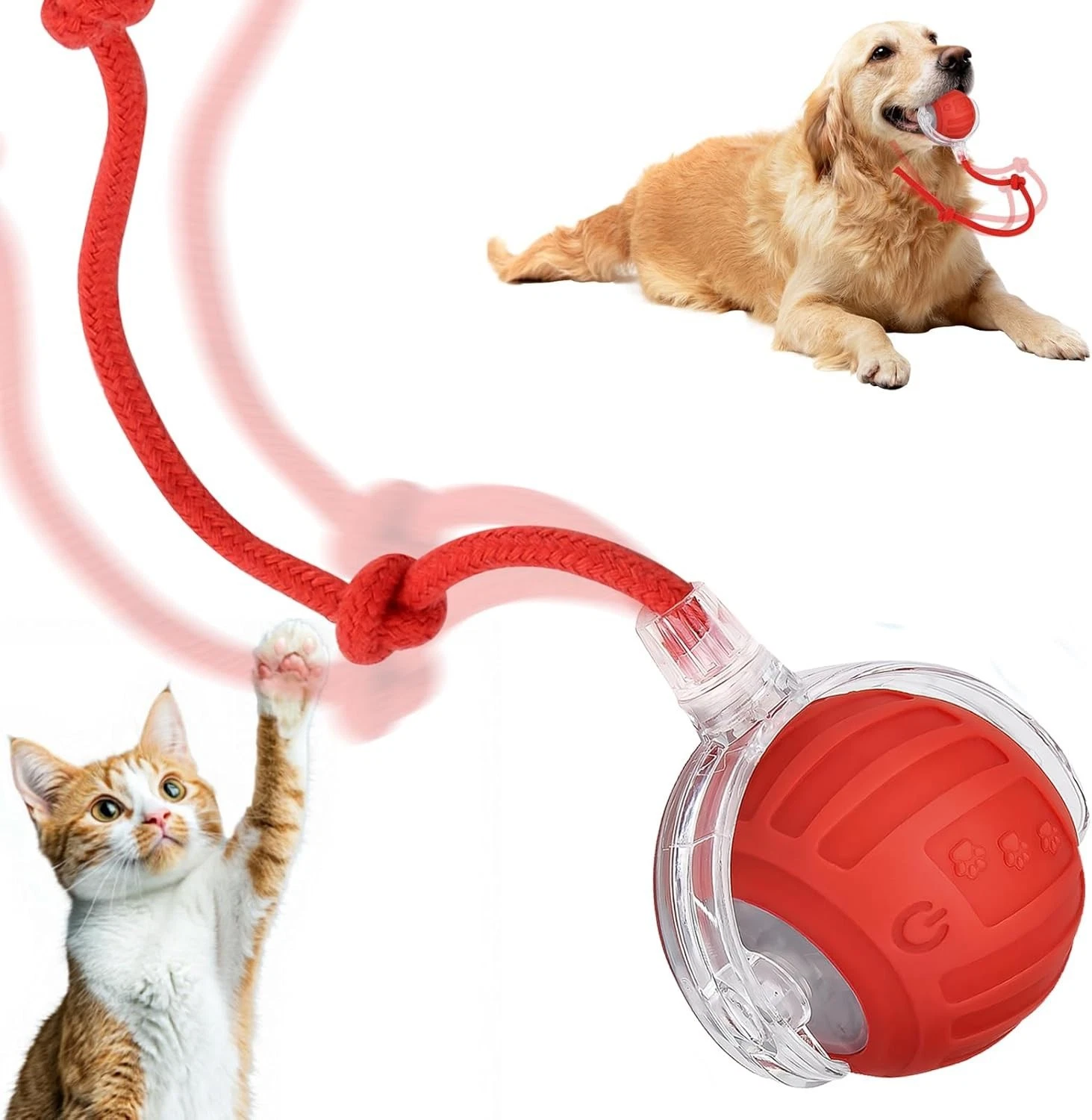 Interactive Cat Toy Ball, Cat Toy Electric Ball Interactive