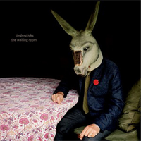 Tindersticks The Waiting Room (Cd) Album With Dvd
