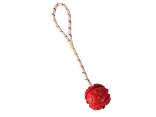 Trixie Ball Am Seil 4.5 Cm-image