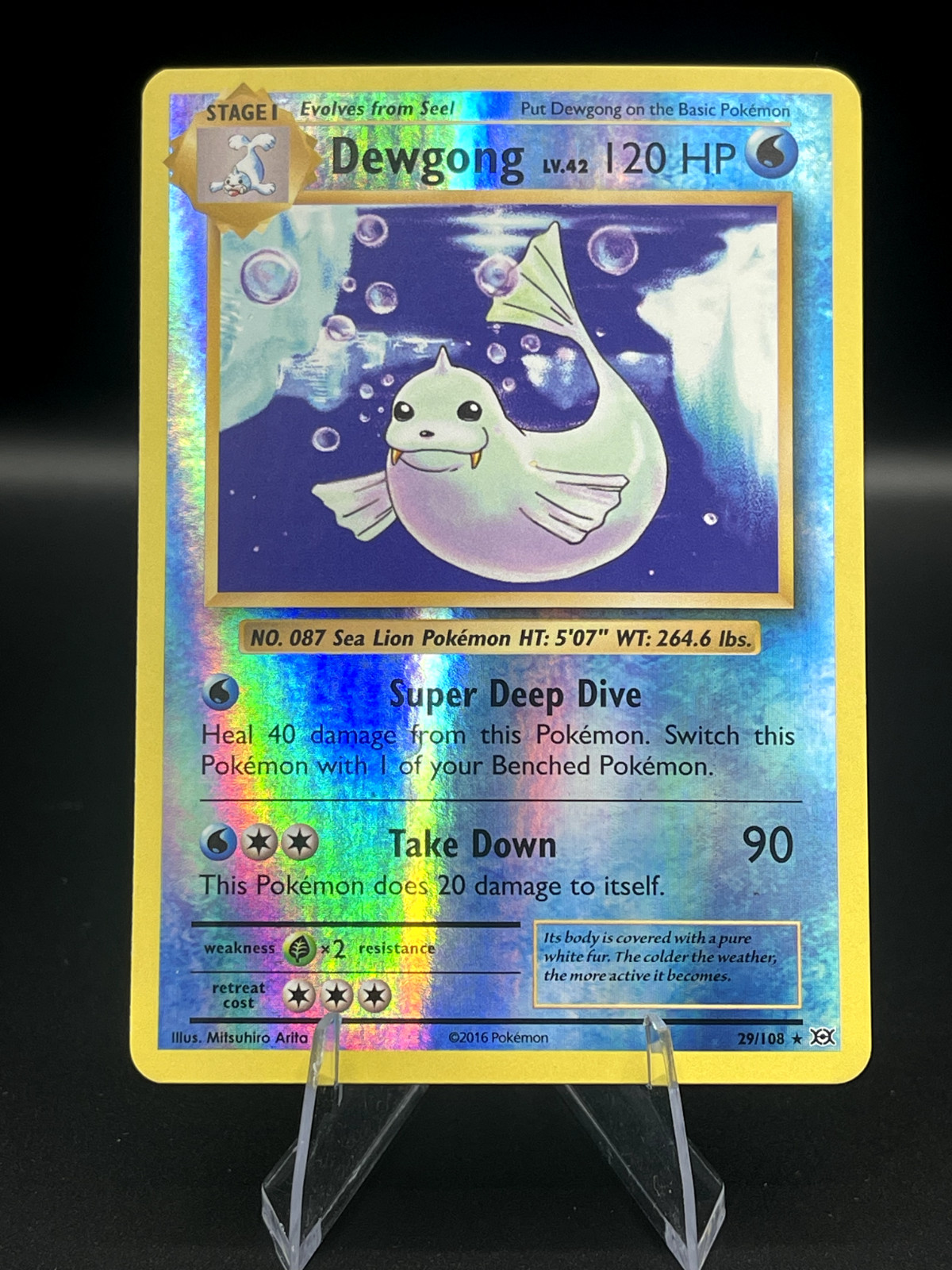 (NM) Dewgong 29/108 Reverse Holo | Non Holo XY Evolutions Pokemon TCG 319a-14