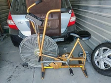 Schwinn Airdyne Fitness Fan Bike Aerobic Training Cycle - Gold