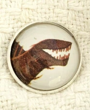 Charley Harper Jurassic Dinosaur Tyrannosaurus 1" Glass Sewing Button CH579