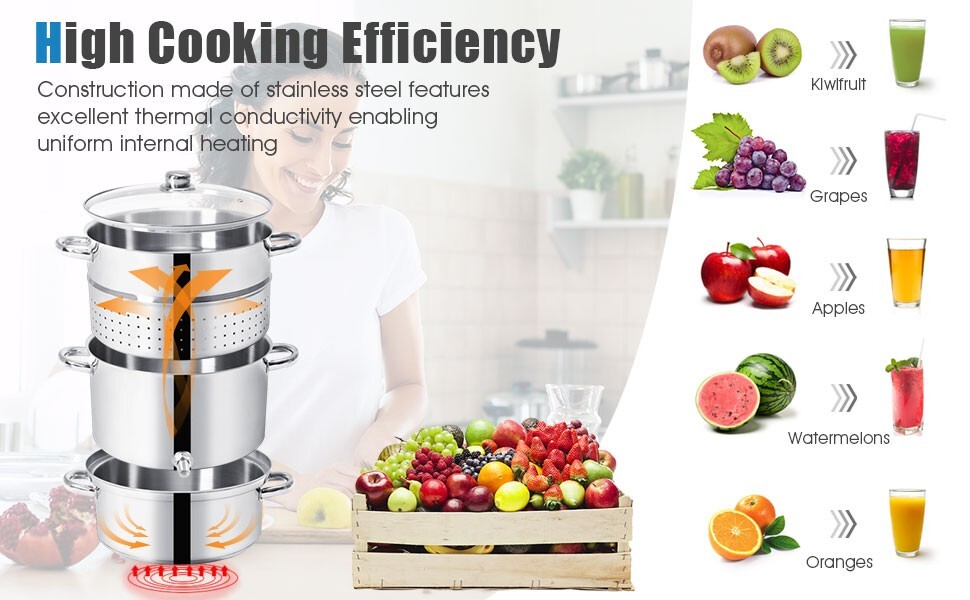 11qt Stainless Steel Fruit Juicer Steamer Kitchen Stove Top Multipot W/Glass lid