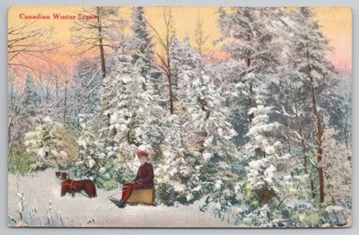 Kanadische Winterszene Junge Schlittenhund 1910er Postkarte Stedman Bros
