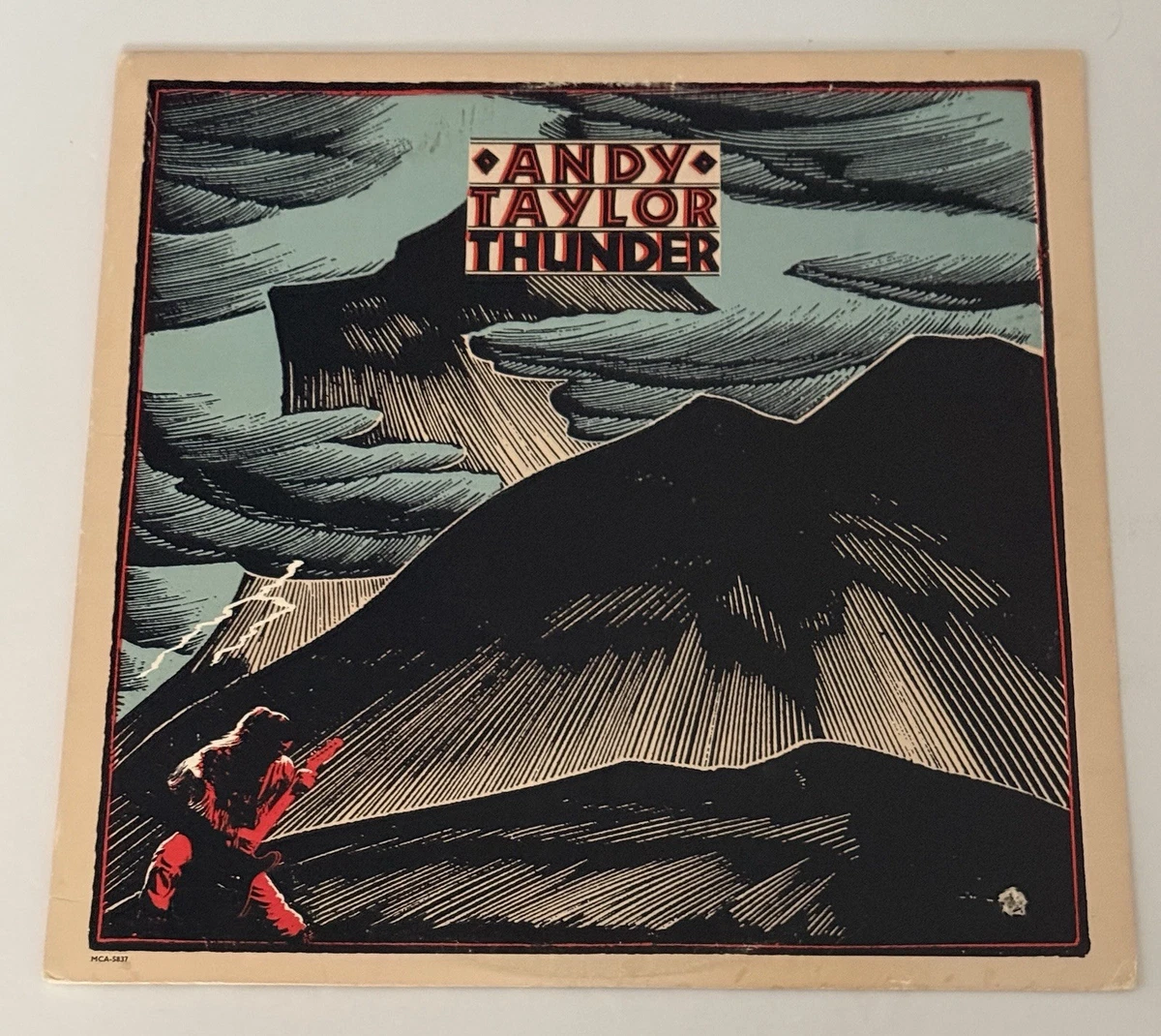 andy taylor thunder products for sale | eBay