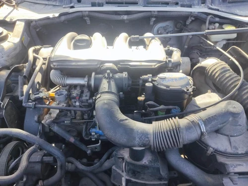 Sicherheitsgurt Vorne Rechts für CITROEN XSARA BERLINA 1.9 D X 2000 1667698 - Bild 2 von 6